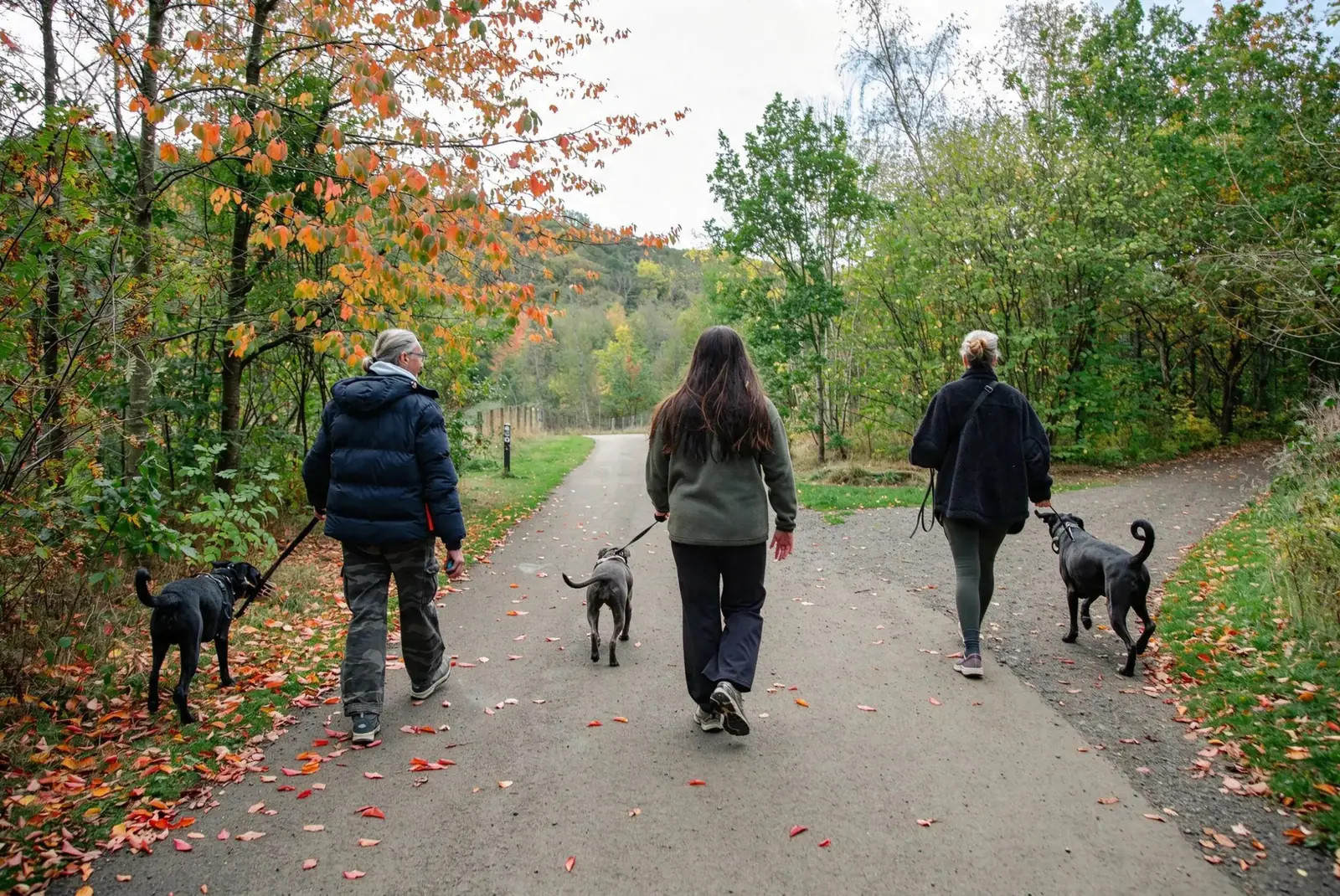 Three owners walking their dogs on an autumn path (photo: photosbycesc)