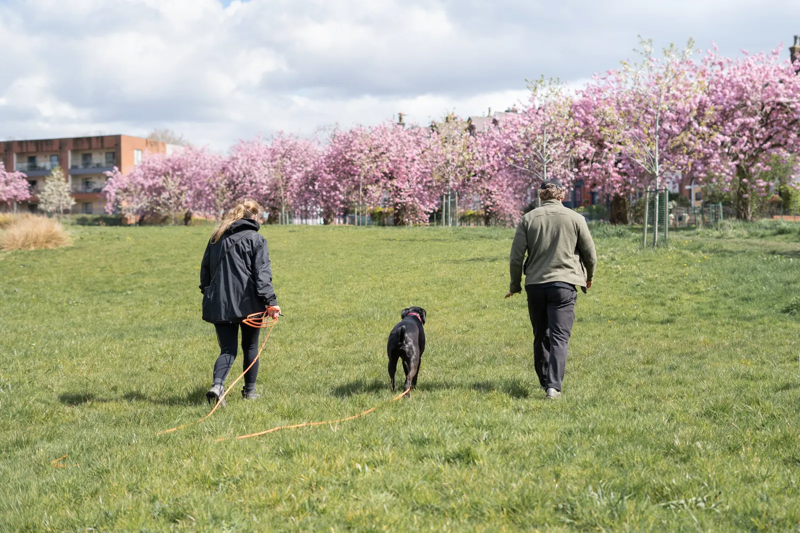 Two people walking a dog across a park (photo: elliebescobyphotography)